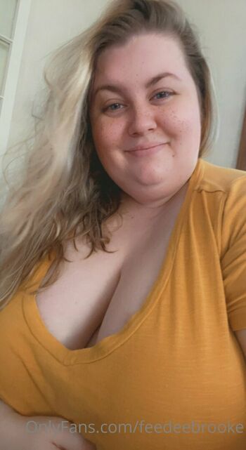 feedeebrooke