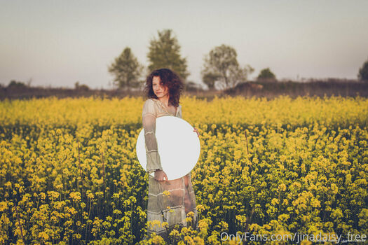 jiasweet_free