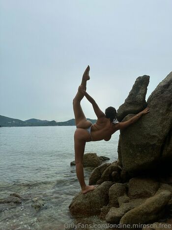 mirlen_hitss